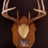 ANTLER MOUNTING SYSTEMS – The Deer Society