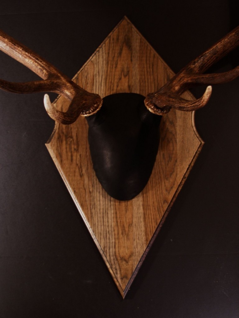 Antler Mount Kit Outfitter Elk Bear Scents